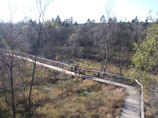 Steg_vom_Turm_Dueker_NLF