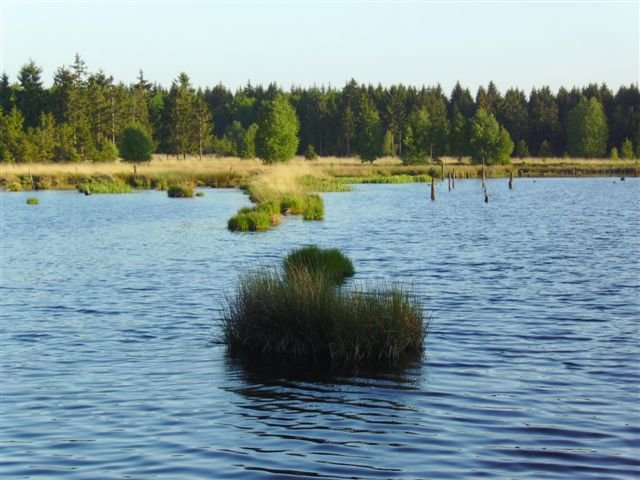 3_b_Moorgewaeser_Dueker_NLF