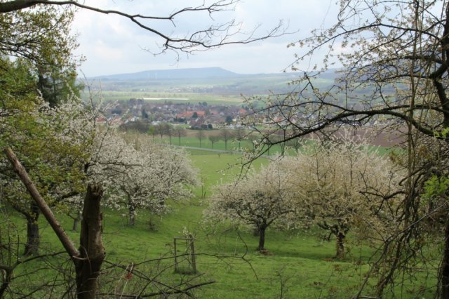 3_c_Benno1_089_Solling_Vogler_Region_WEB